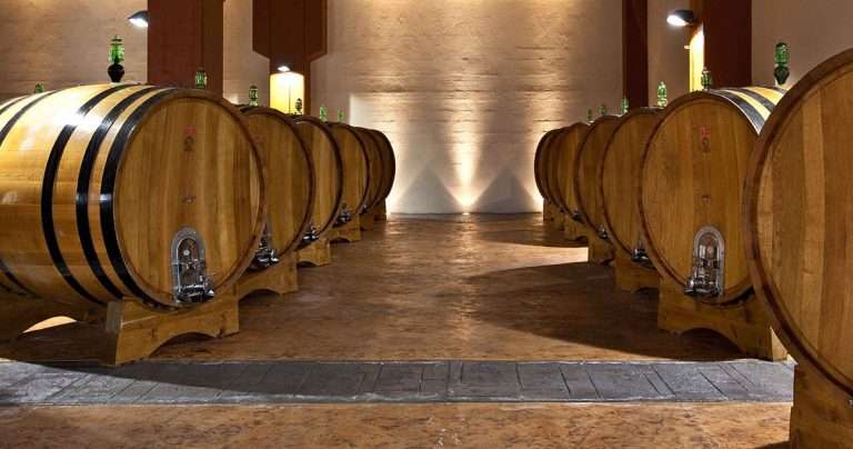 Etna e il Vino