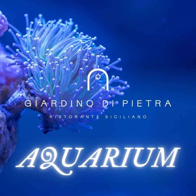 Aquarium a cena nel mare 2026
